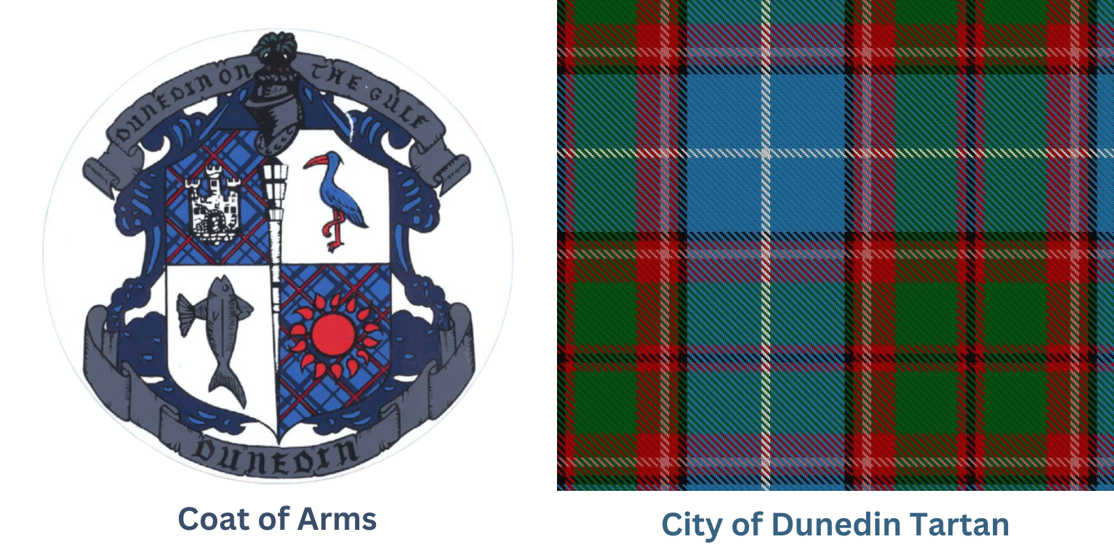 City of Dunedin Tartan and Coat of Arms