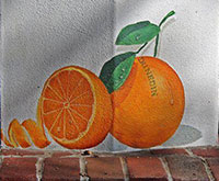 Dunedin's Oranges