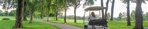 Golf-Carts-in-Dunedin-Banner.jpg