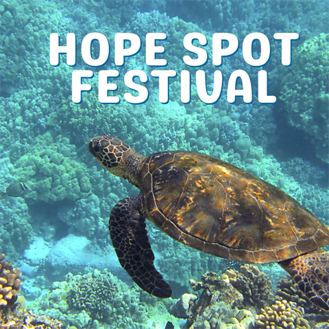 Hope Spot Fest 900 × 900 .png